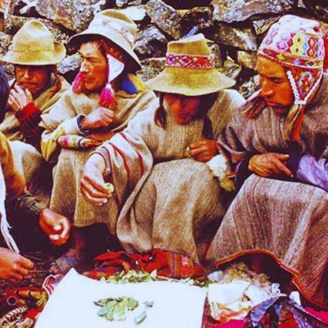 oraculo hoja de coca img